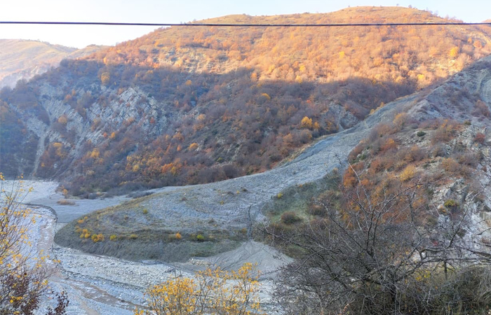 691c04260e255.jpg